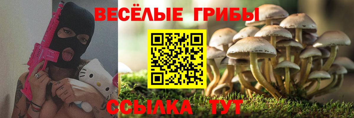 как найти   Вход с VPN  Сочи  Псилоцибиновые грибы MAGIC MUSHROOMS  Псилоцибиновые грибы мицелий 
